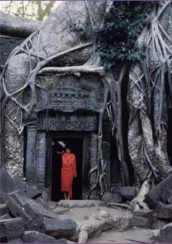 Portal