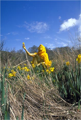 Spring's Gift
