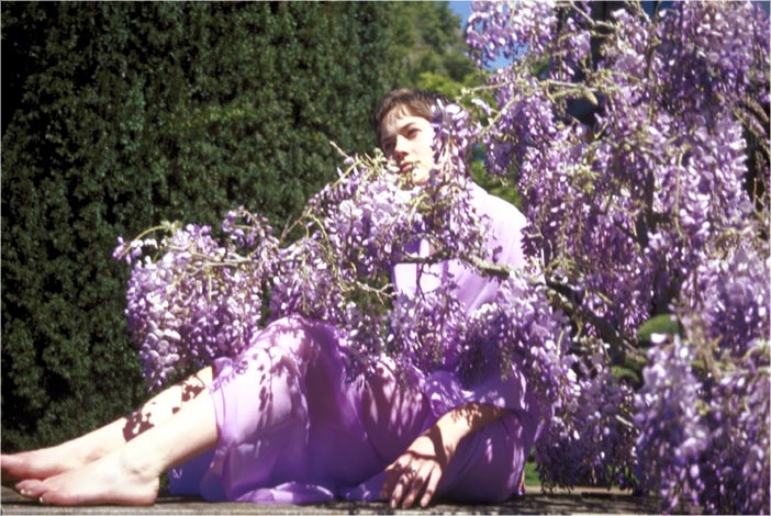 Wisteria's Essence