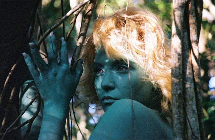 Forest 1