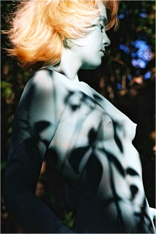Forest 2