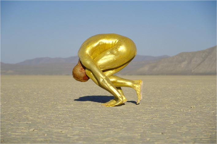 Seed