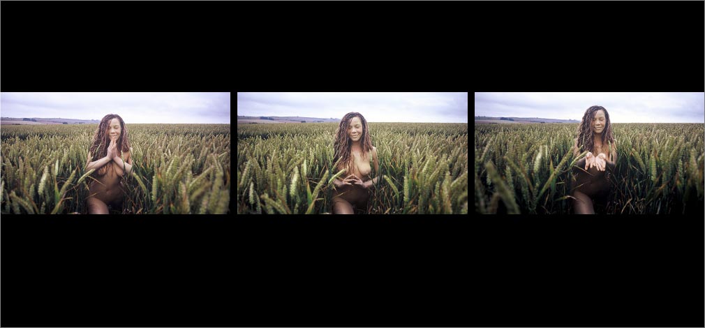 May All Be Fed (series of 3)