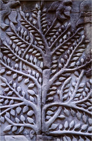 Tree of Life
