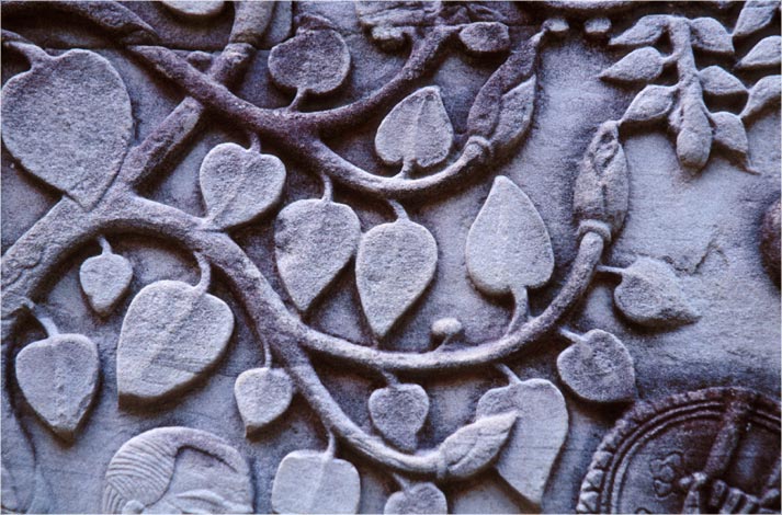 Tree of Life Detail